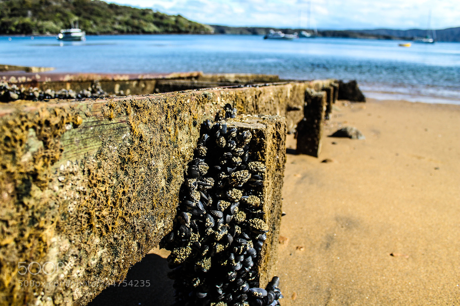 Canon EOS 1100D (EOS Rebel T3 / EOS Kiss X50) sample photo. Stewart island photography