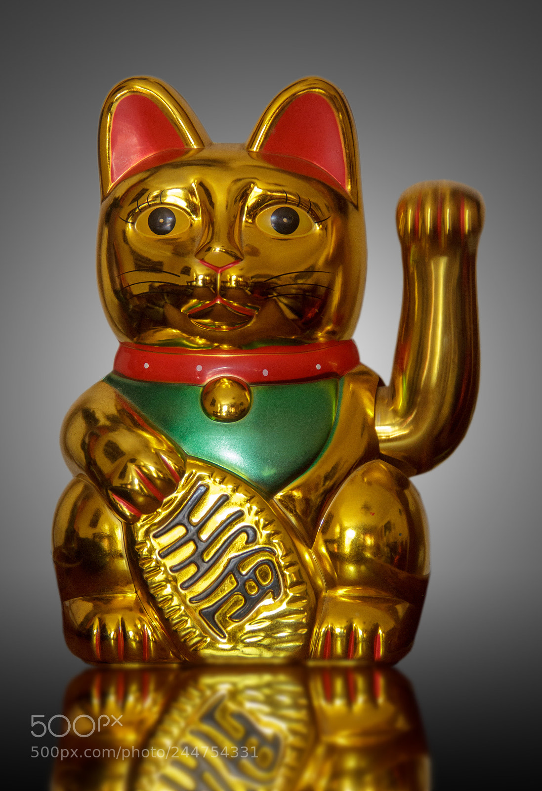 Canon EOS 60D sample photo. Cat photography