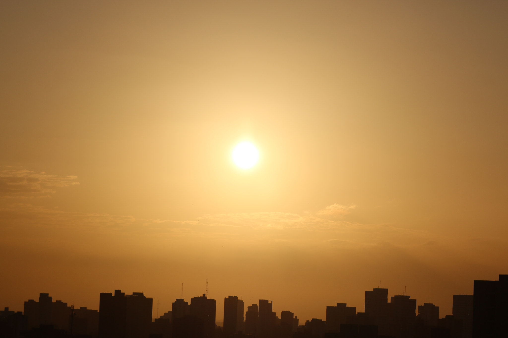 Canon EF 75-300mm f/4-5.6 USM sample photo