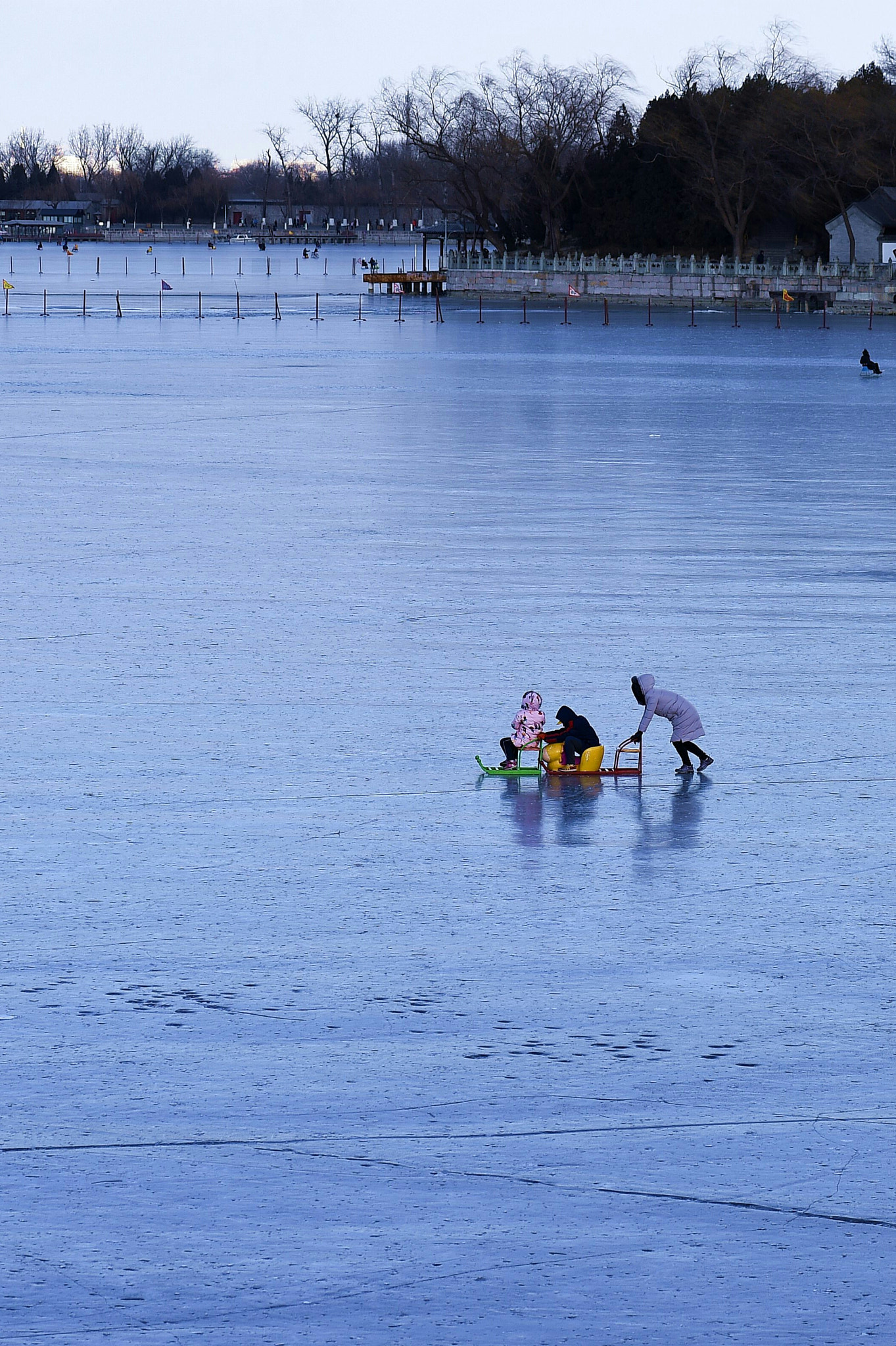 Nikon AF-S Micro-Nikkor 105mm F2.8G IF-ED VR sample photo