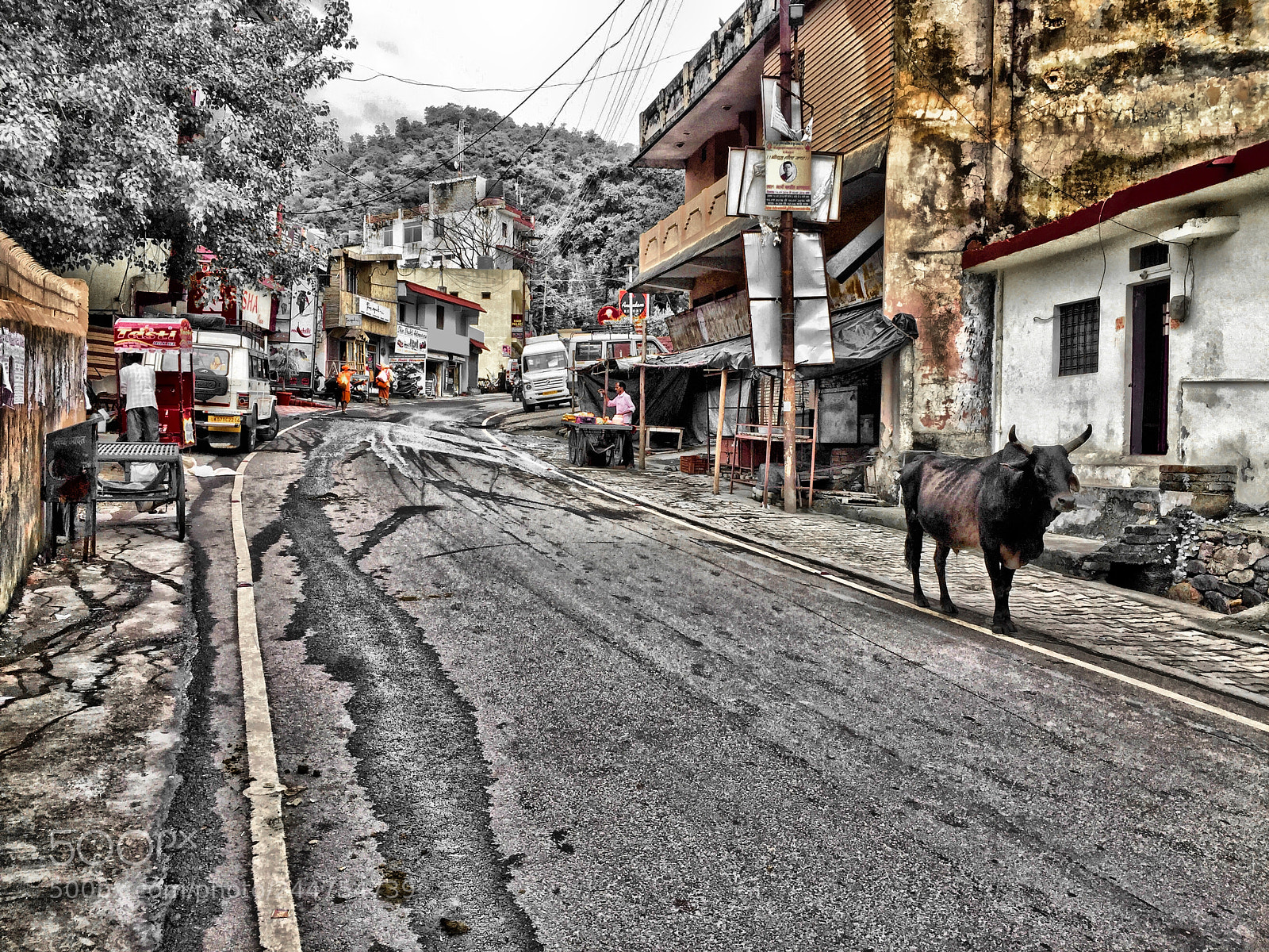 Apple iPhone 6 Plus sample photo. Cow in rishikesh india photography