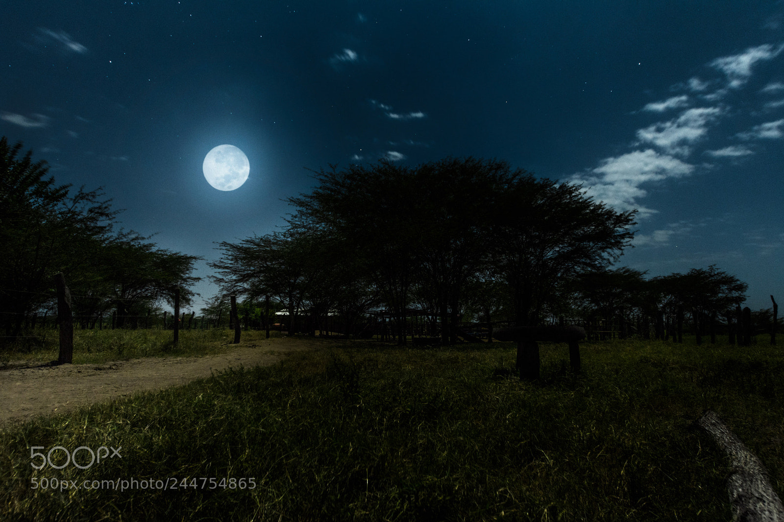 Nikon D7100 sample photo. Moonrise photography
