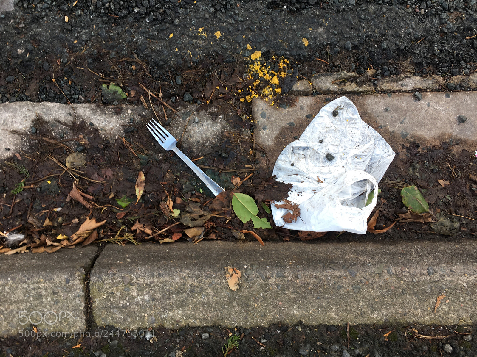 Apple iPhone 6s sample photo. Fork in the road. photography