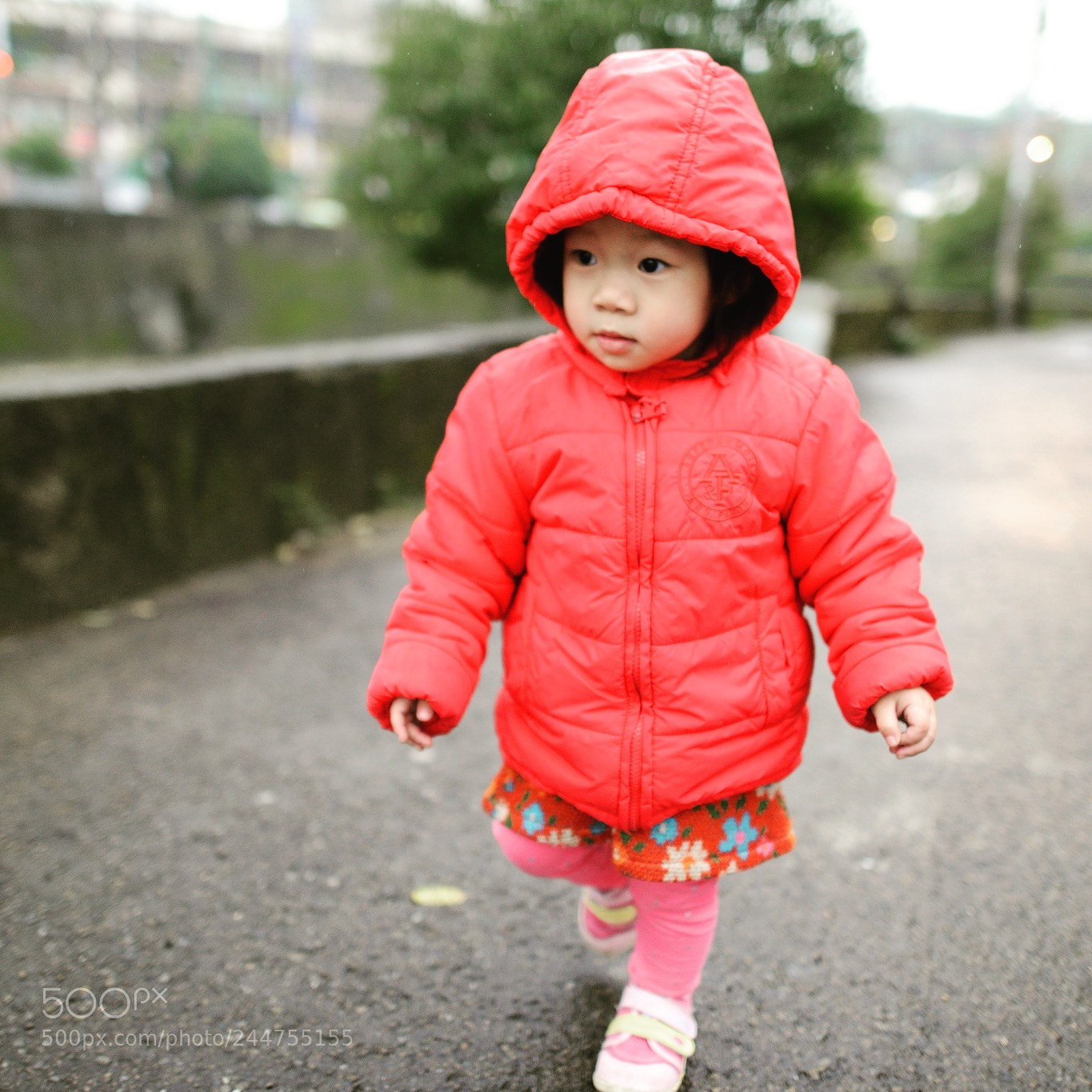 Nikon D800 sample photo. Untitled photography