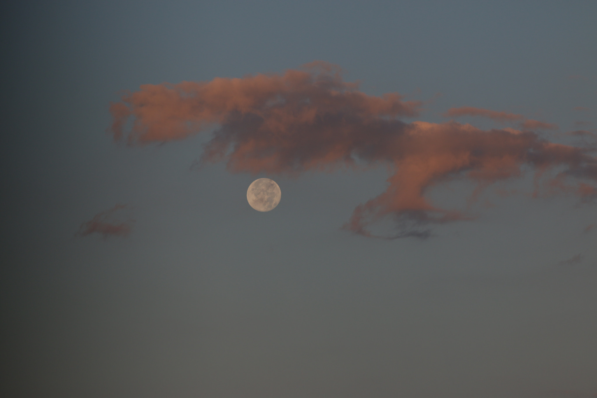 Canon EF 75-300mm f/4-5.6 USM sample photo