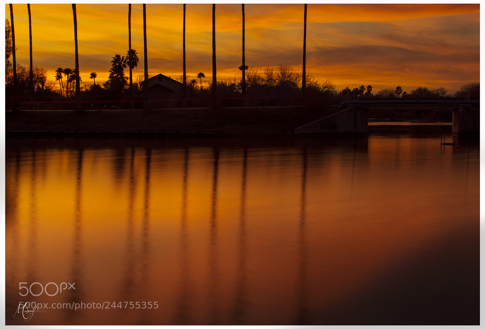 Nikon D7200 sample photo. Just orange photography