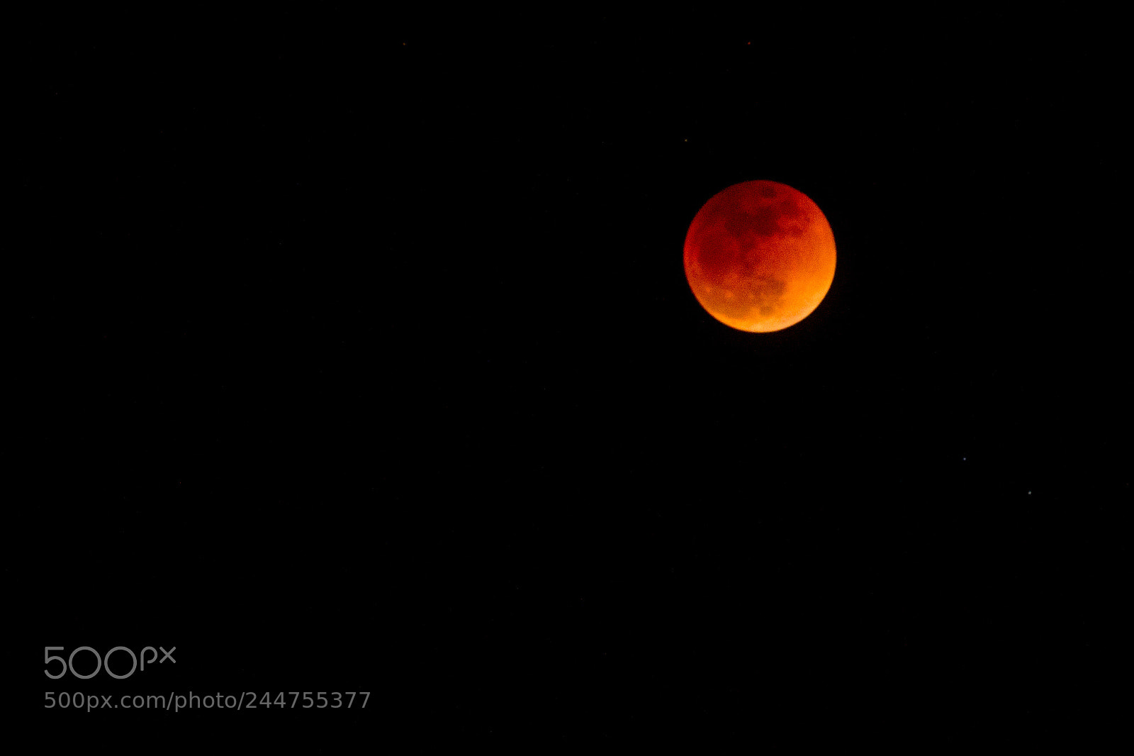 Canon EOS 60D sample photo. Super blue blood moon photography