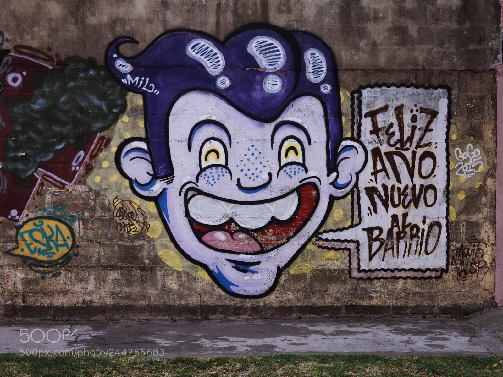 Panasonic Lumix DMC-G7 sample photo. Feliz a o nuevo photography