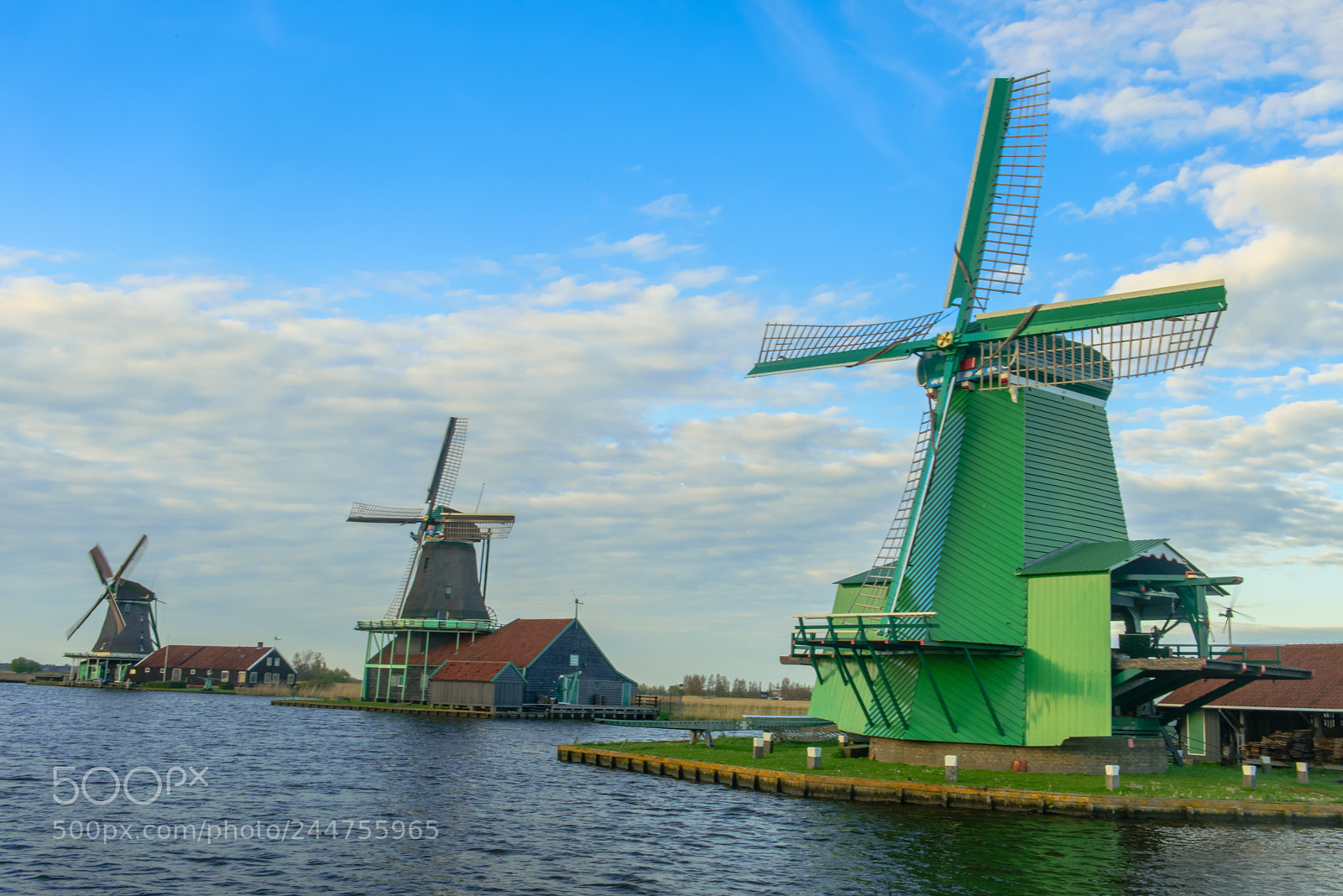 Nikon D810 sample photo. Zaanse schans wind mills photography