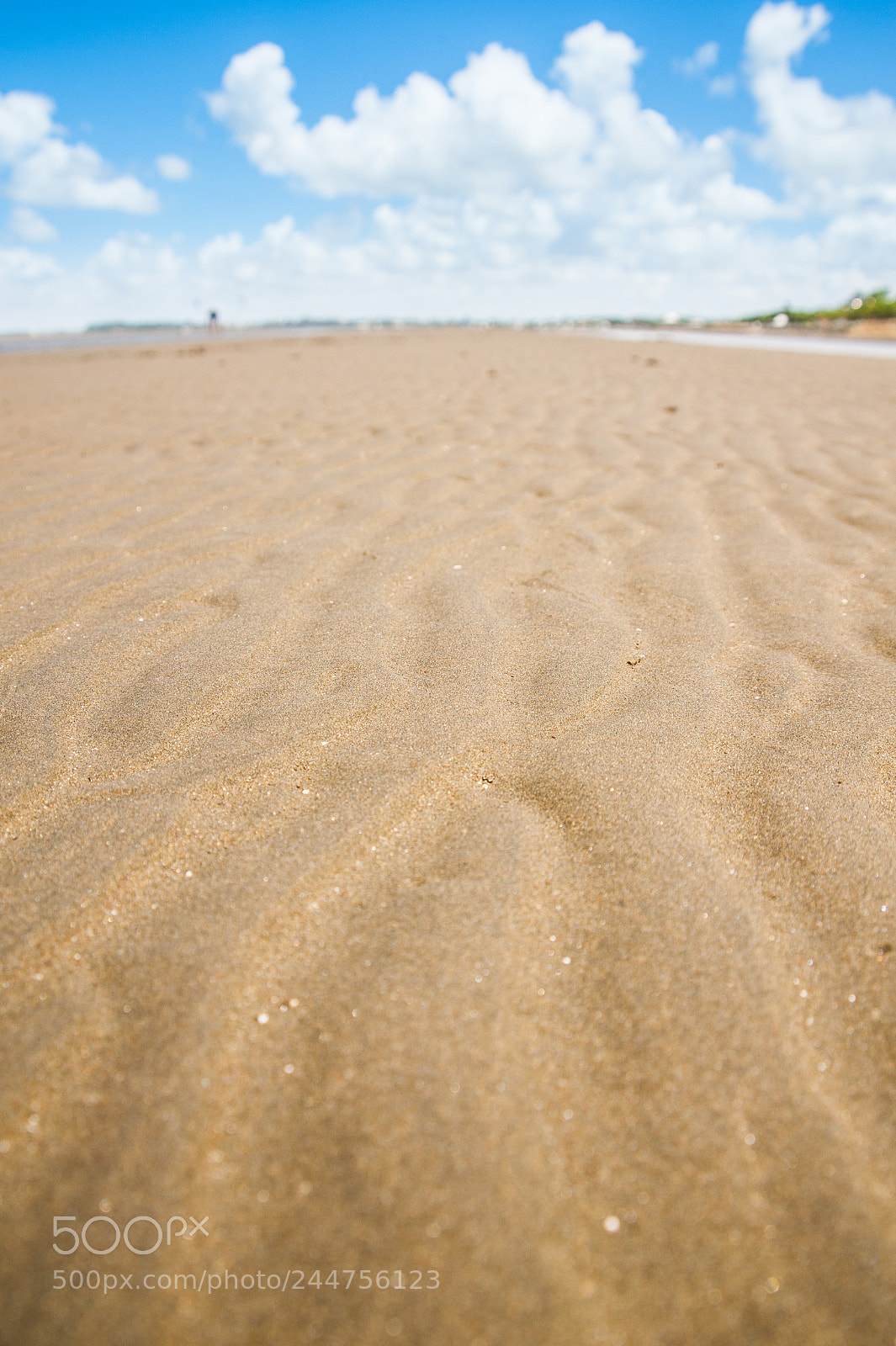Nikon D700 sample photo. Low water photography