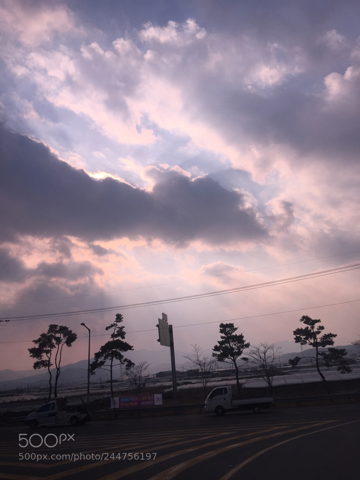 Apple iPhone 6 sample photo. Untitled photography