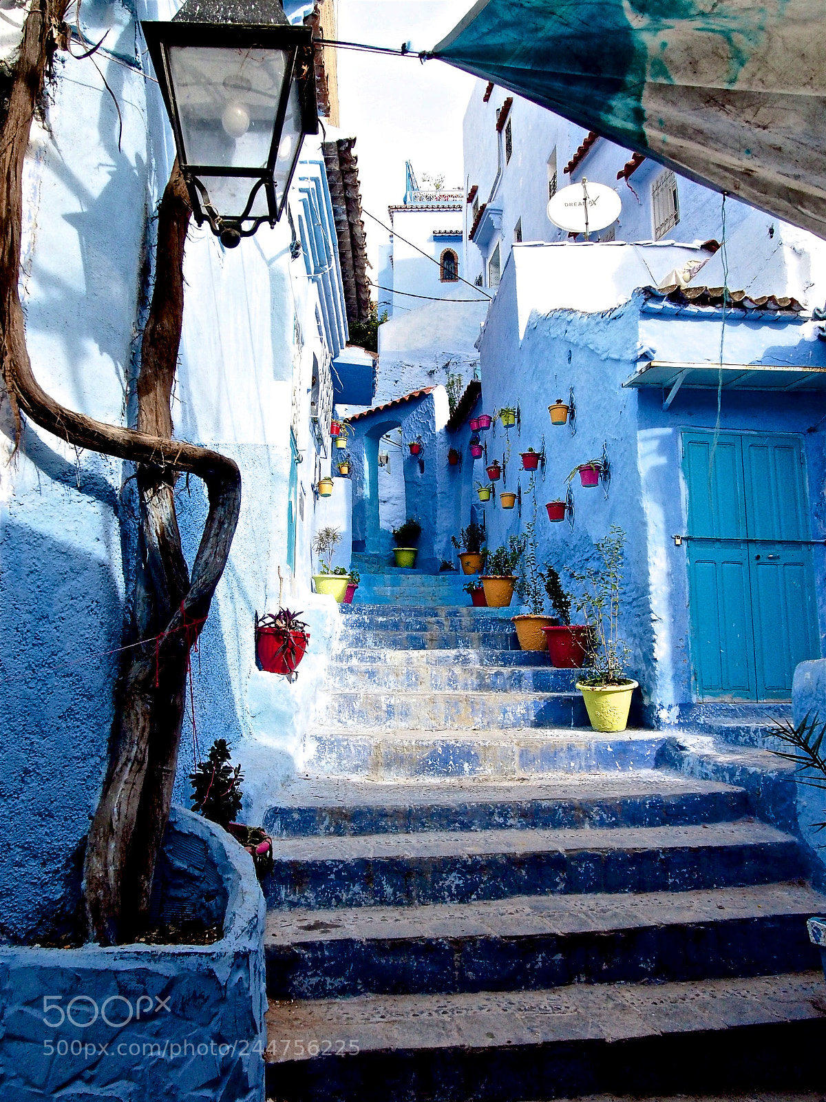 Olympus OM-D E-M5 sample photo. The city of blue photography