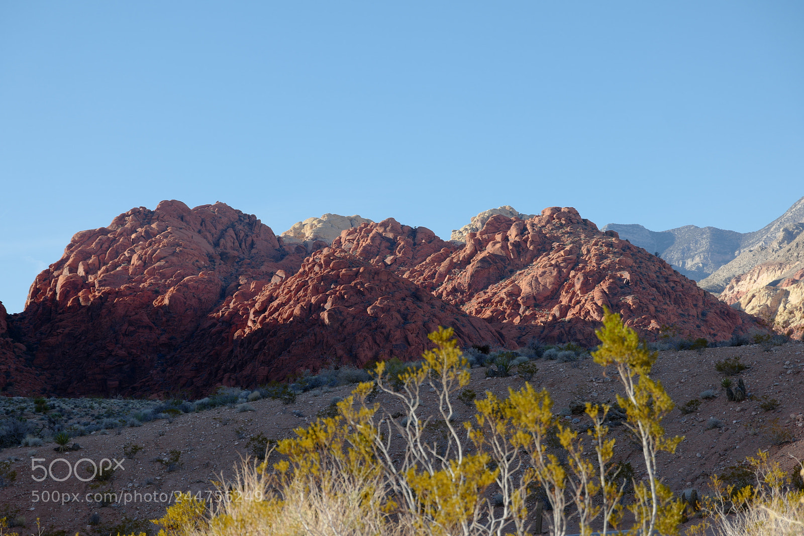 Leica CL sample photo. Calico basin nv photography