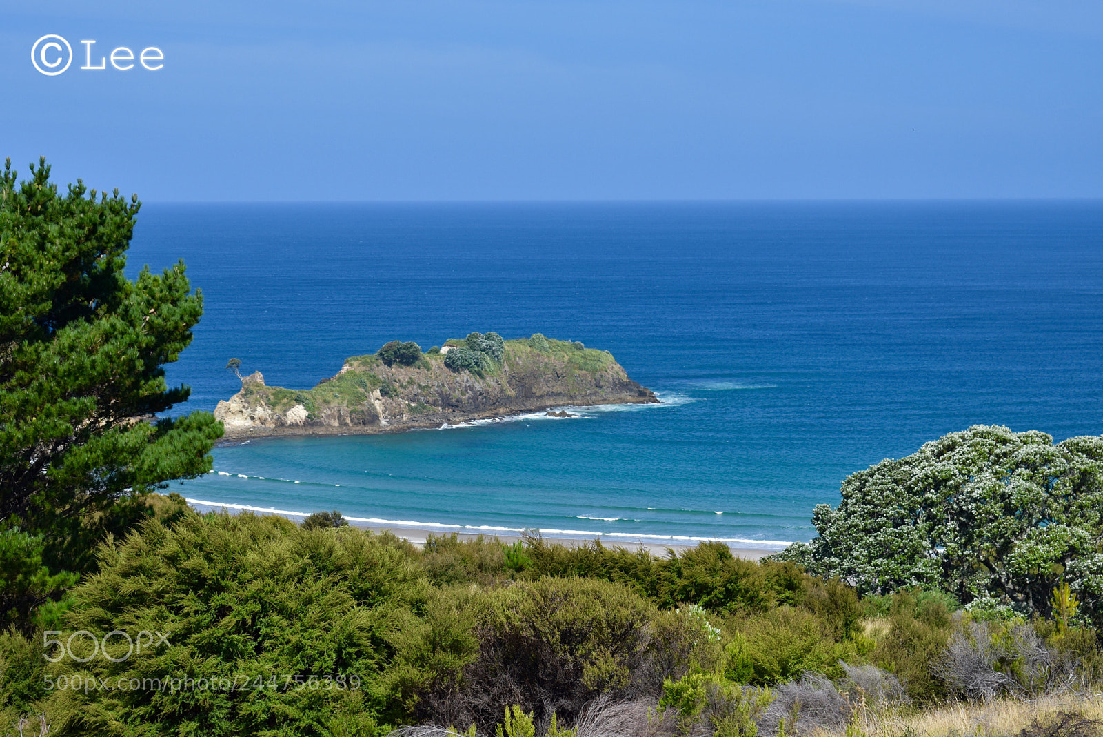 Nikon D3400 sample photo. Great barrier island photography