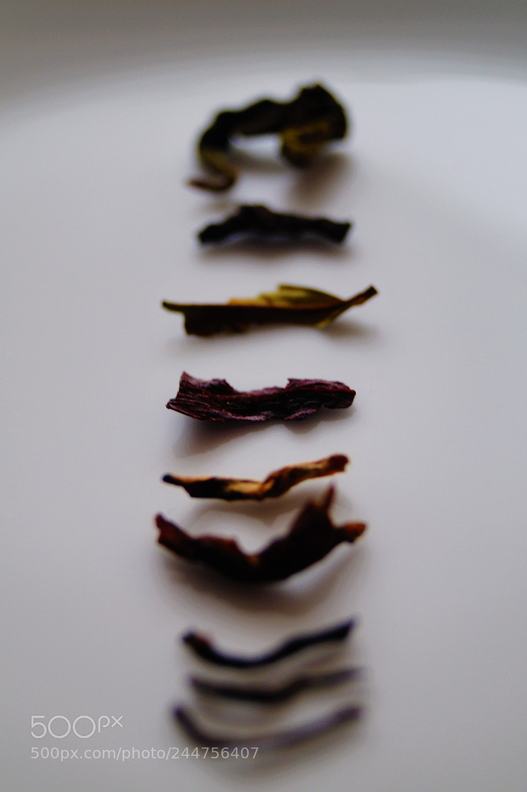 Sony SLT-A58 sample photo. Tea leaves photography