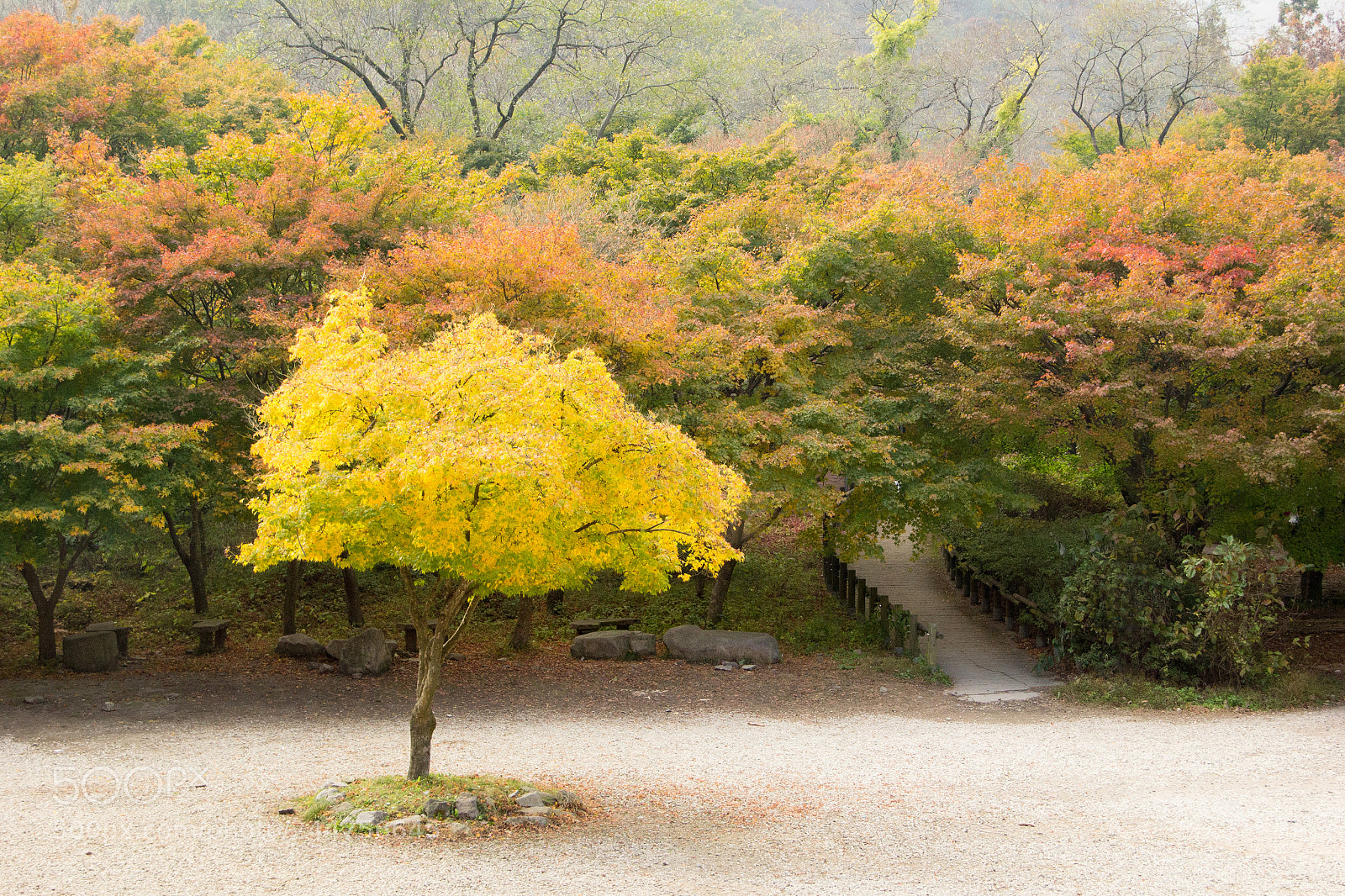 Canon EOS 60D sample photo. Naejangsankoreatrip photography