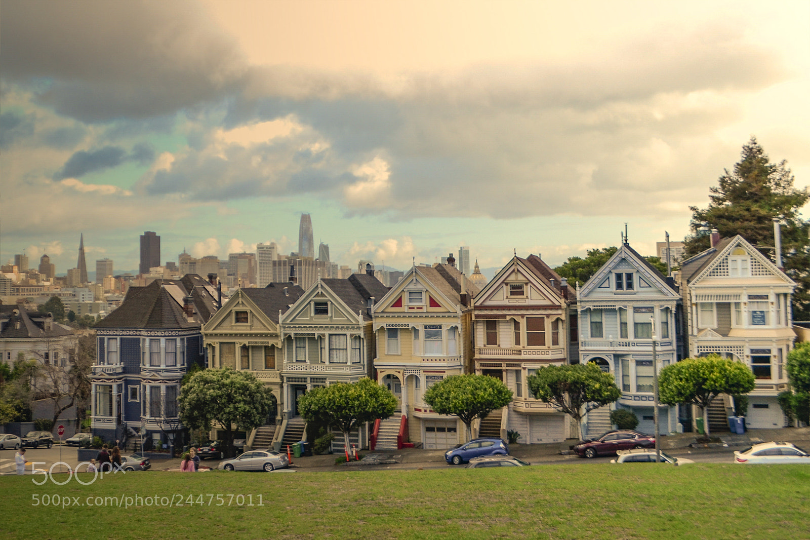 Nikon D5100 sample photo. Painted ladies - san photography