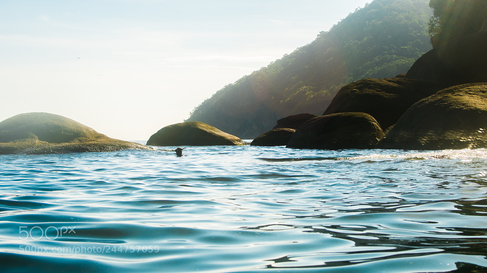 Nikon D7200 sample photo. Ias_7897-3.jpg photography