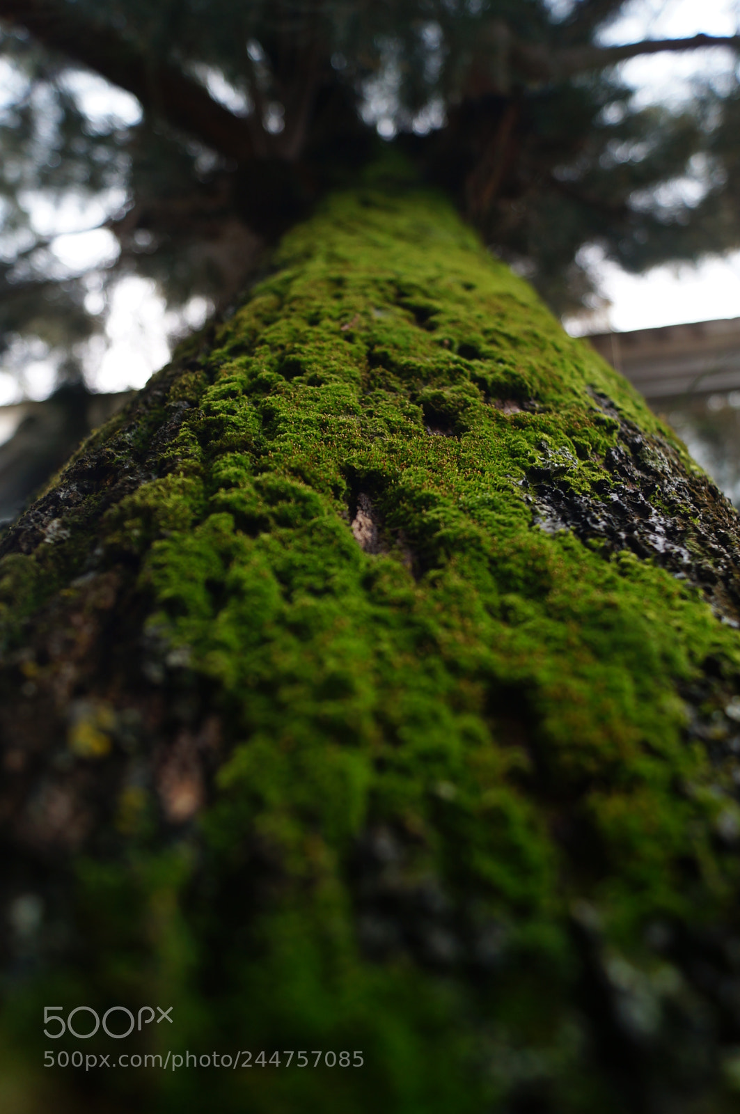 Sony SLT-A37 sample photo. Changes photography
