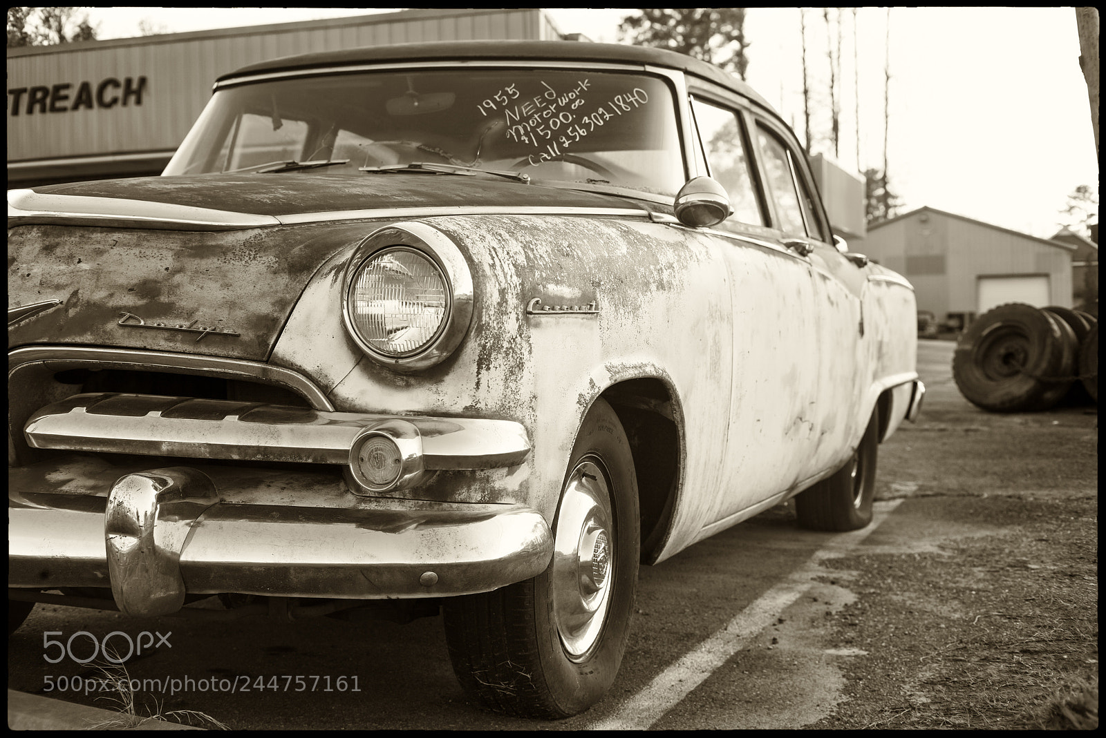 Leica M Monochrom (Typ 246) sample photo. Need motor work photography