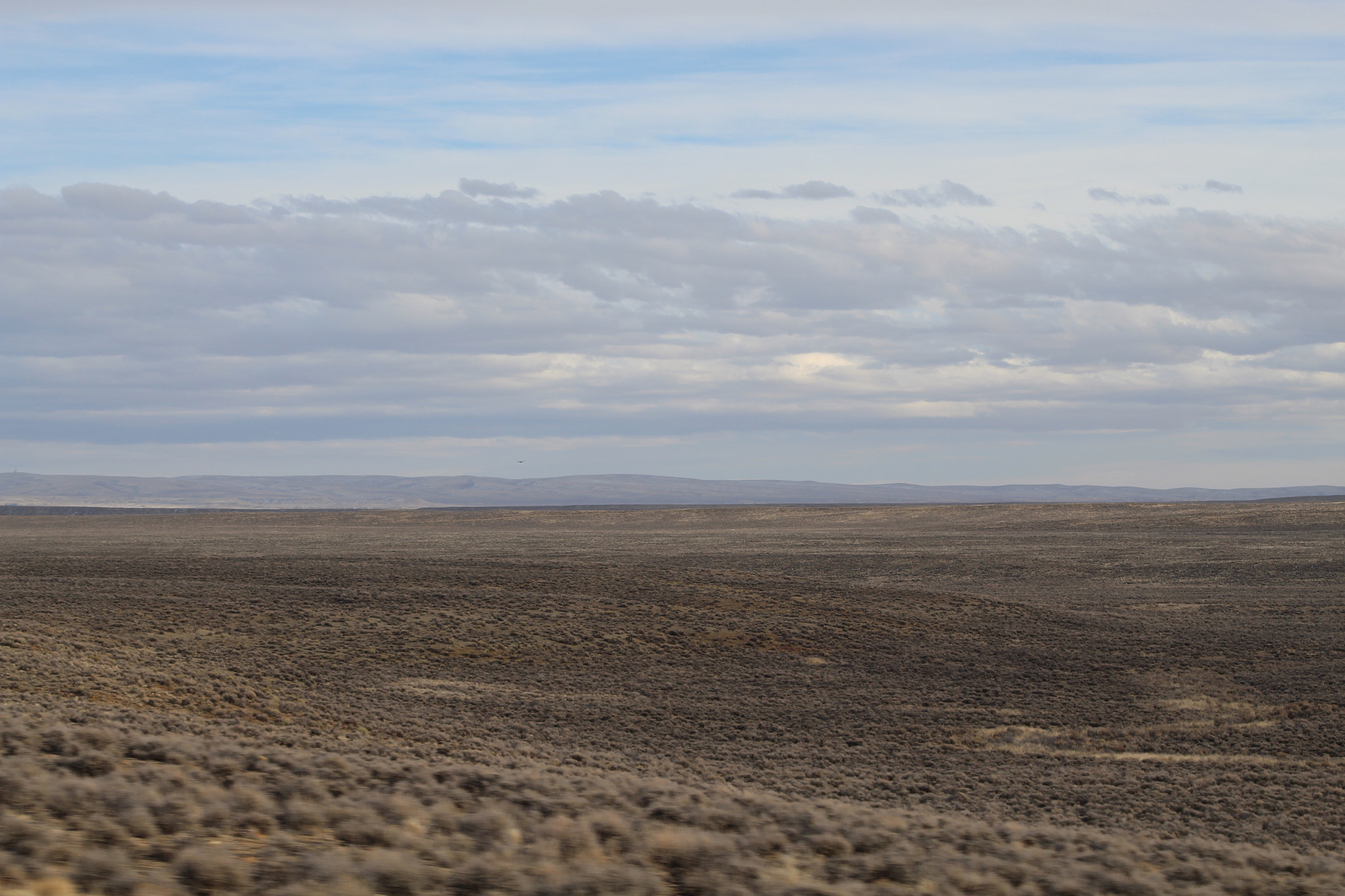 Canon EOS 1300D (EOS Rebel T6 / EOS Kiss X80) + EF75-300mm f/4-5.6 sample photo. Wyoplains06 photography