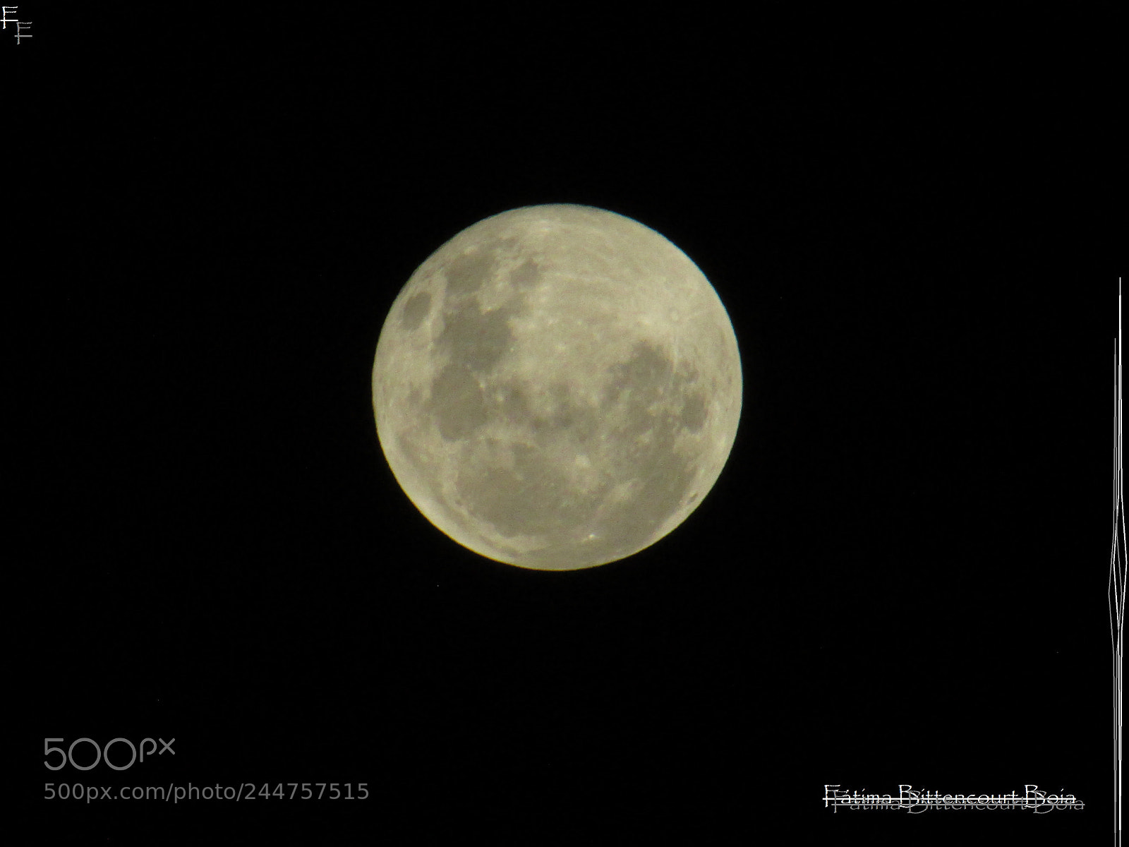 Canon PowerShot SX500 IS sample photo. 044.jpg photography