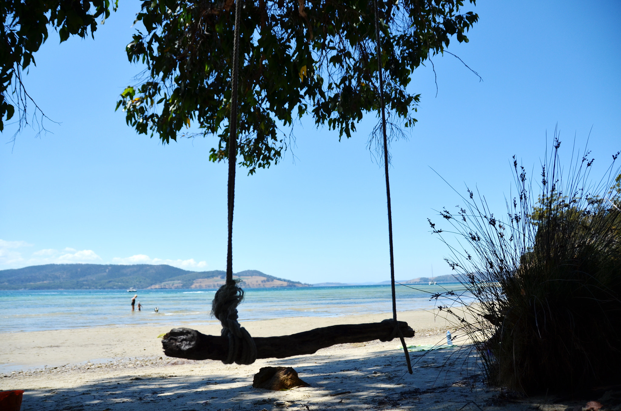 Nikon D5100 sample photo. Swing at the beach photography