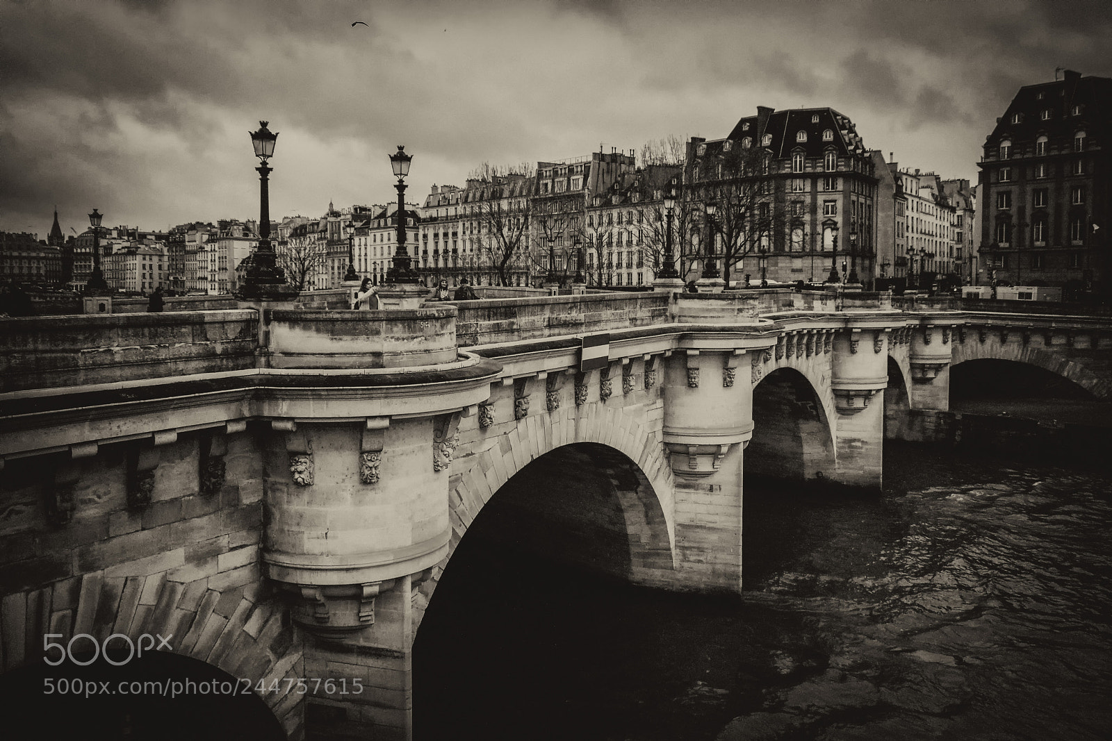 Canon EOS 760D (EOS Rebel T6s / EOS 8000D) sample photo. Paris bridge over sena photography