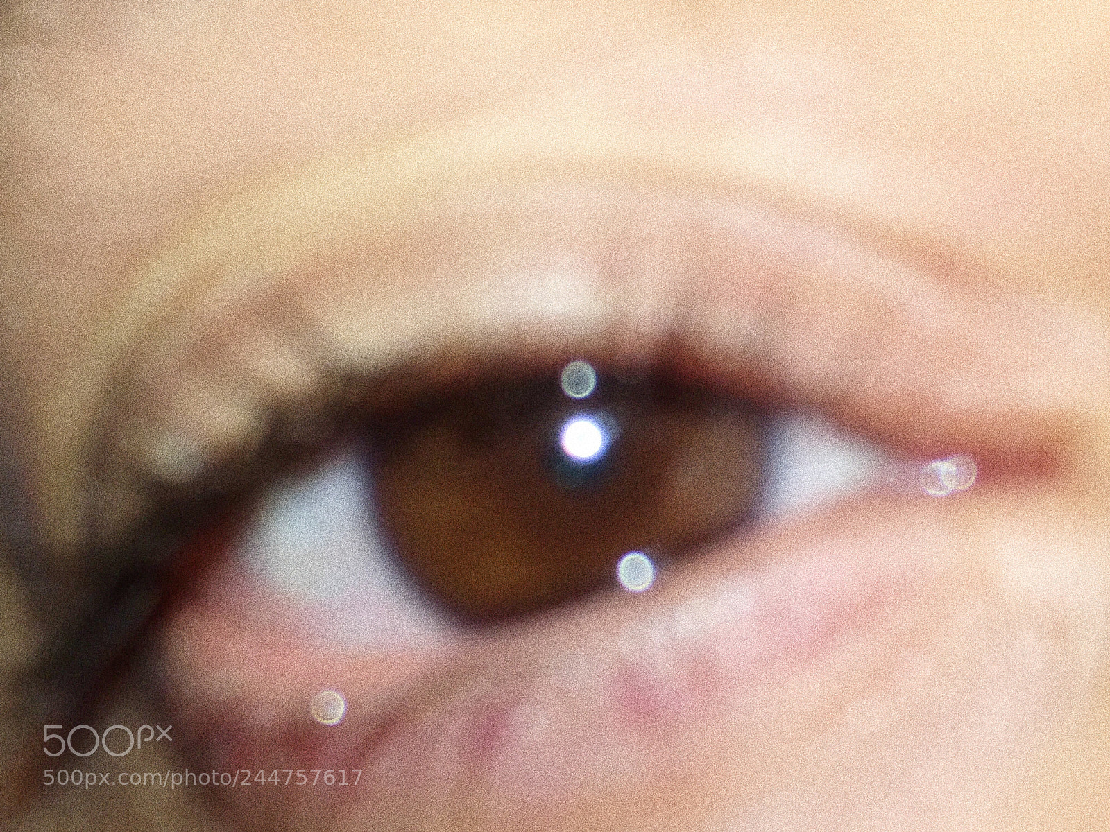 Apple iPhone 6s sample photo. Untitled photography