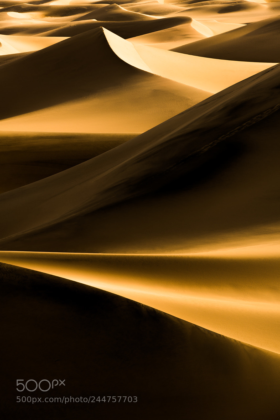 Nikon D850 sample photo. Patterns photography