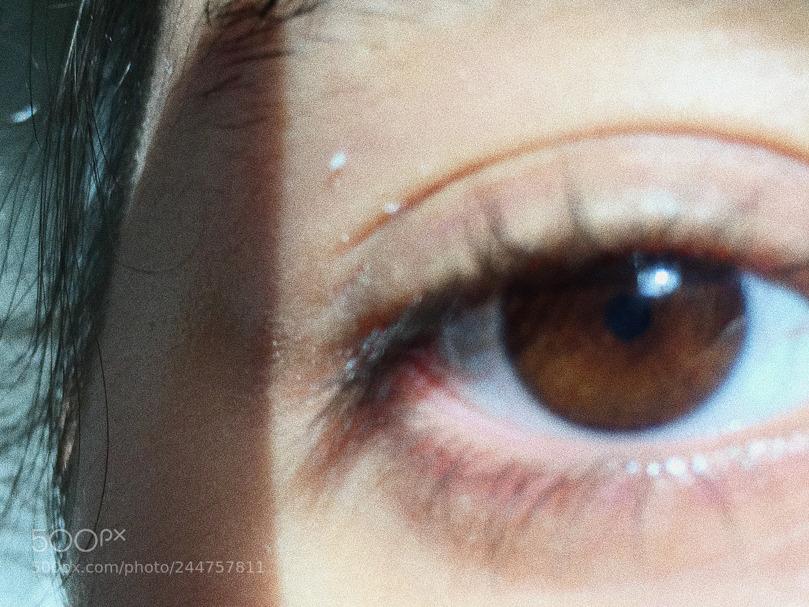 Apple iPhone 6s sample photo. Untitled photography