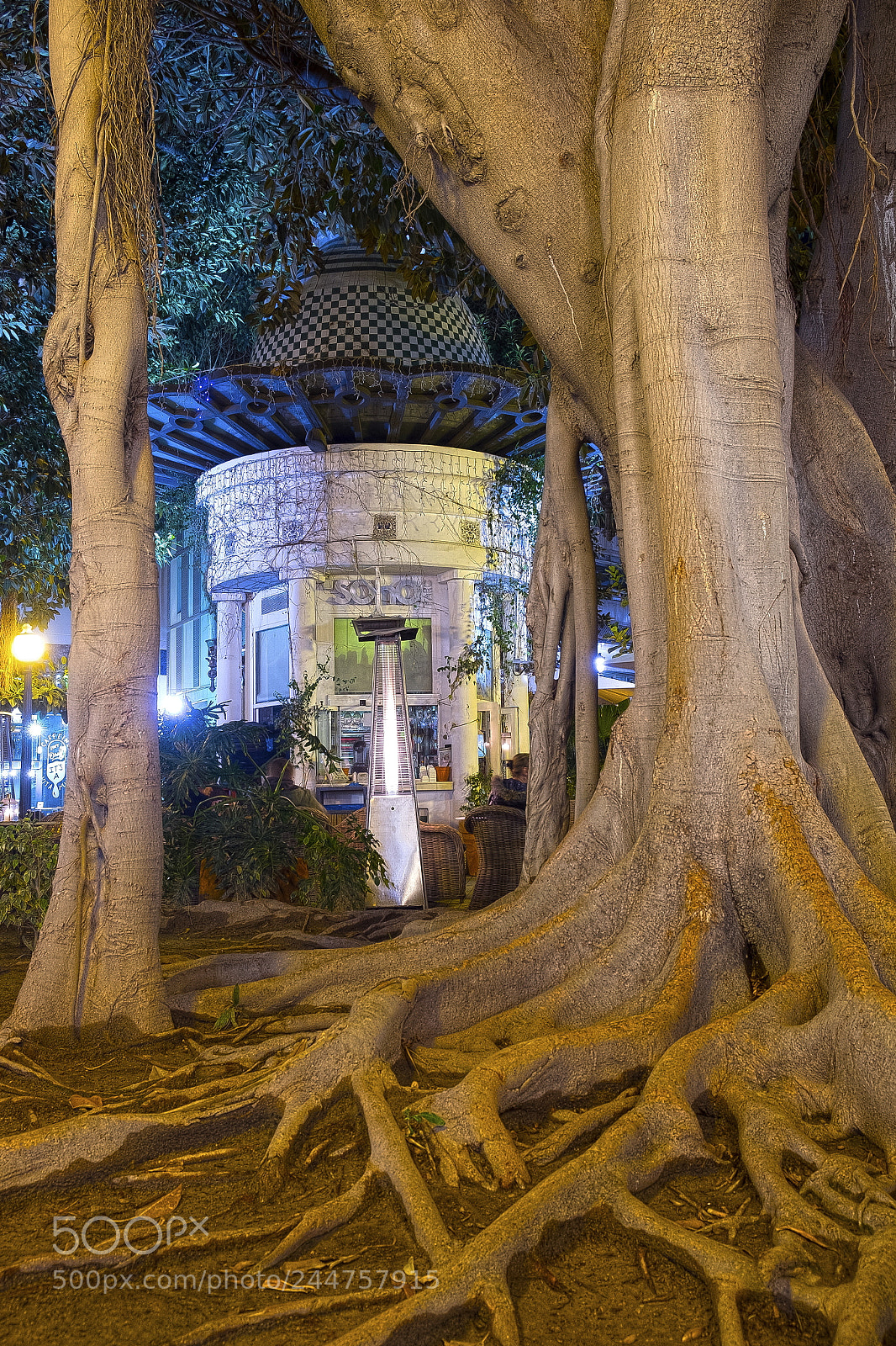 Fujifilm X-E2 sample photo. El portal de elche photography