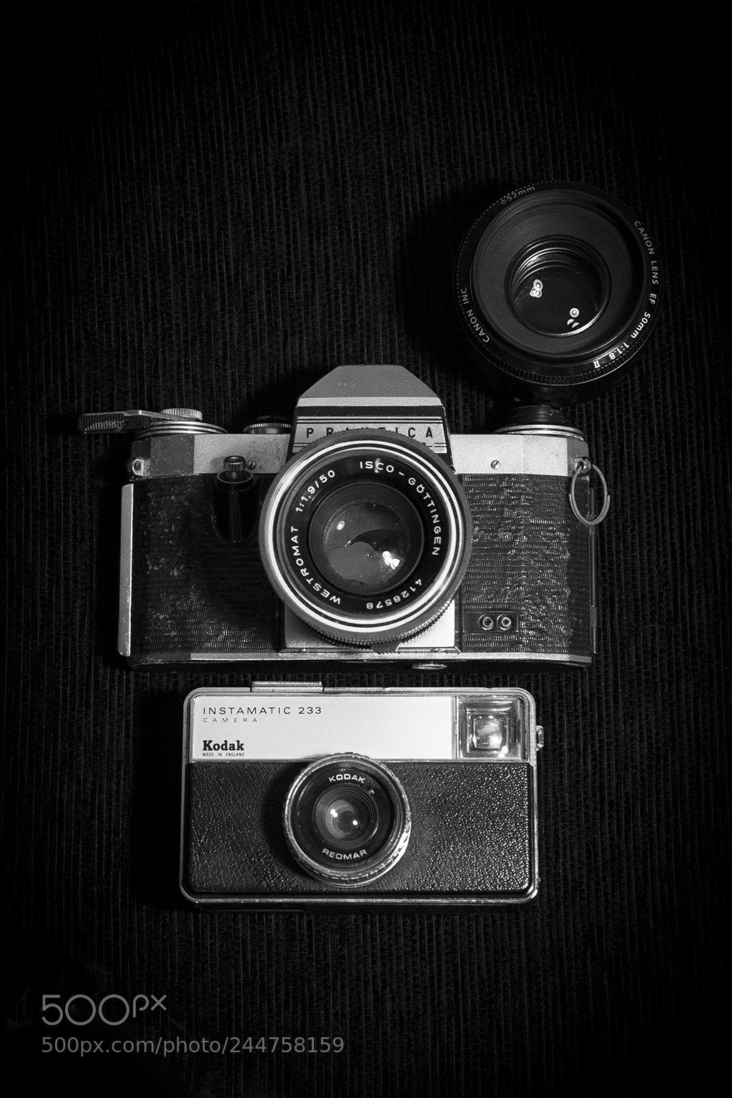 Canon EOS 1000D (EOS Digital Rebel XS / EOS Kiss F) sample photo. My precious photography