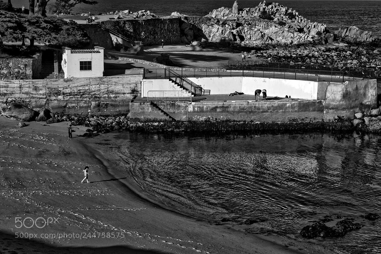 Leica M (Typ 240) sample photo. Monterey 20 photography
