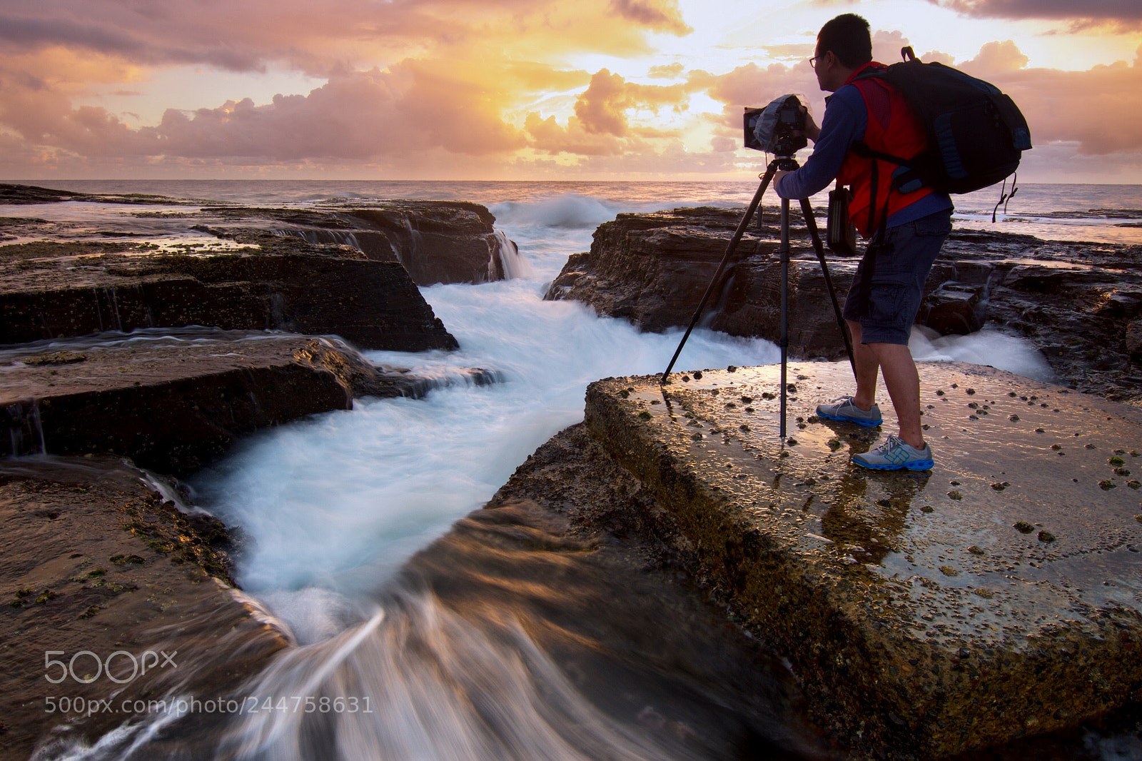 Nikon D3400 sample photo. Photographing @ narrabeen head photography