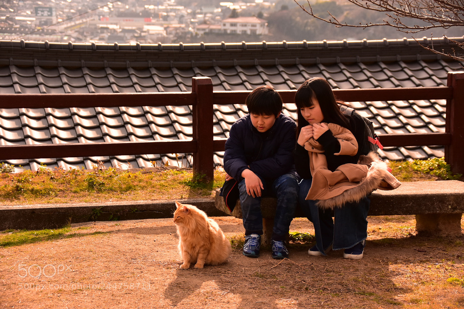 Nikon D7200 sample photo. Onomichi diary 2018 photography