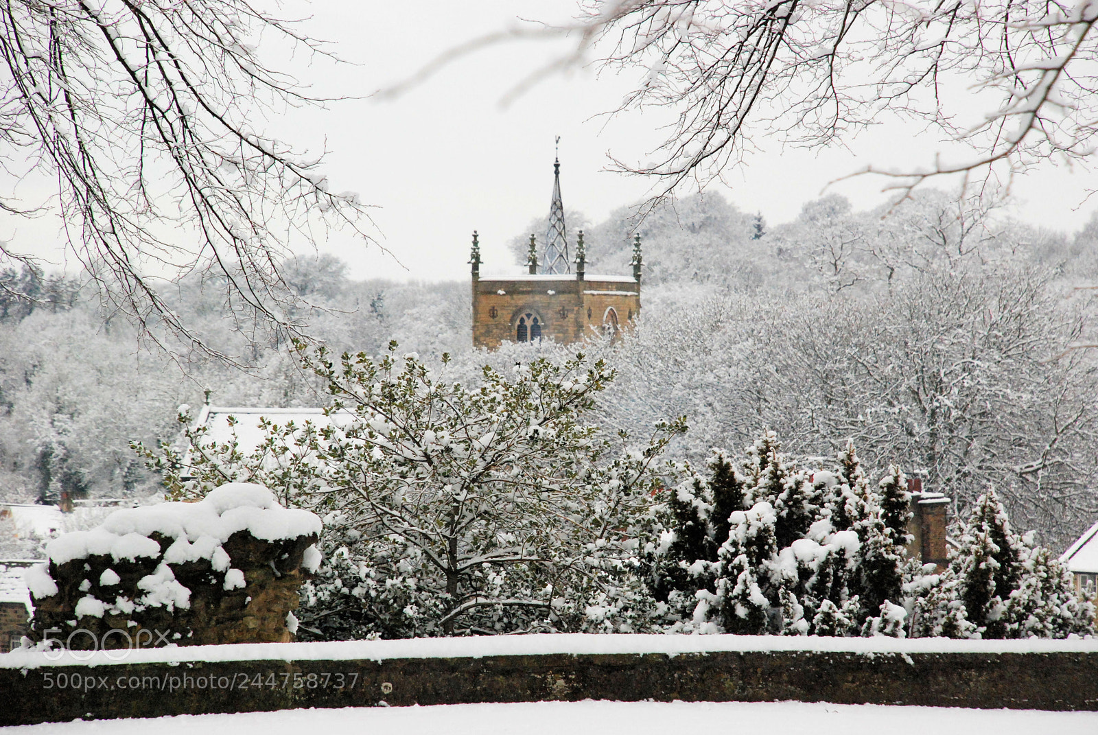 Nikon D80 sample photo. So cold photography