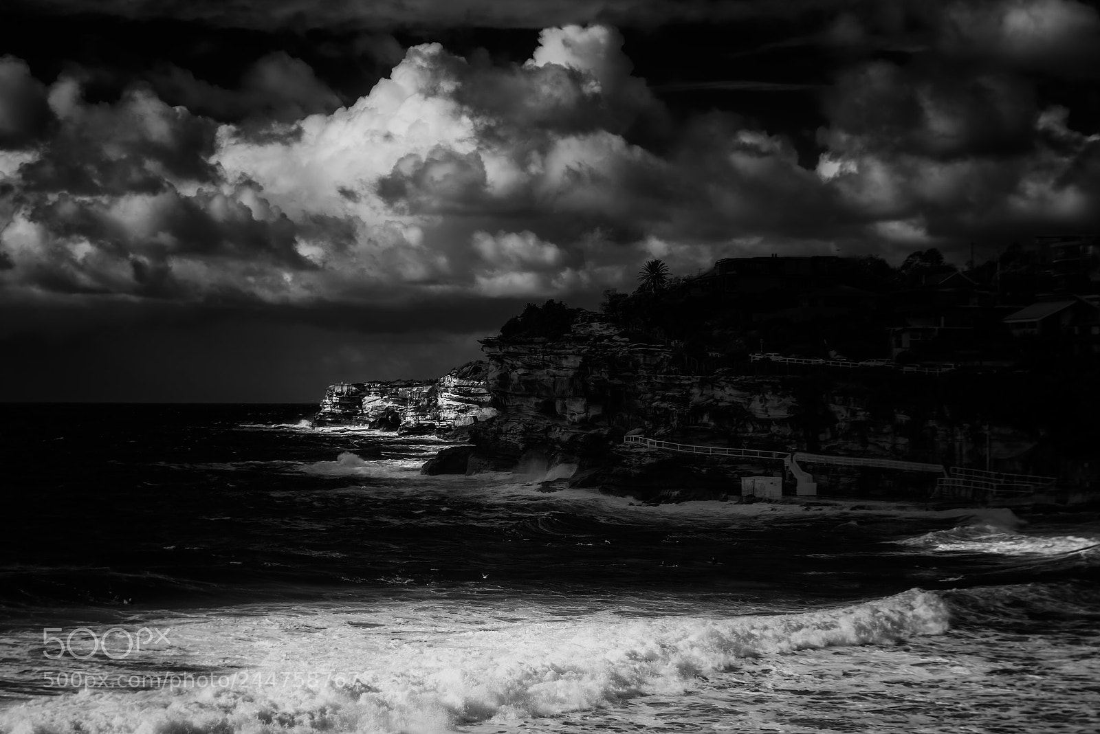 Nikon D800 sample photo. The light fantastic photography