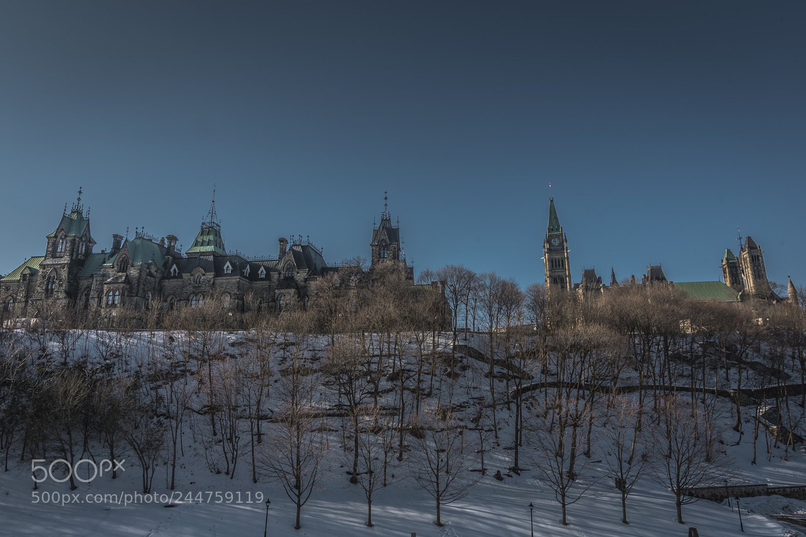 Nikon D500 sample photo. Ttawa, ontario canada photography