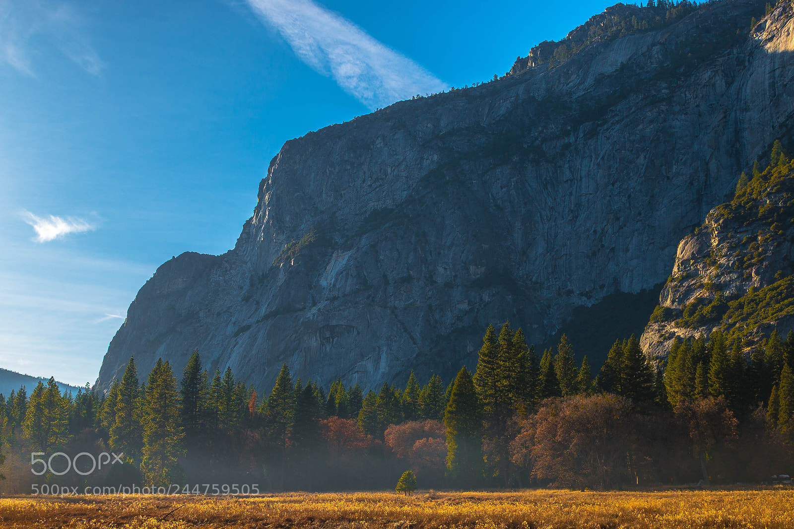 Canon EOS 70D sample photo. Yosemite photography