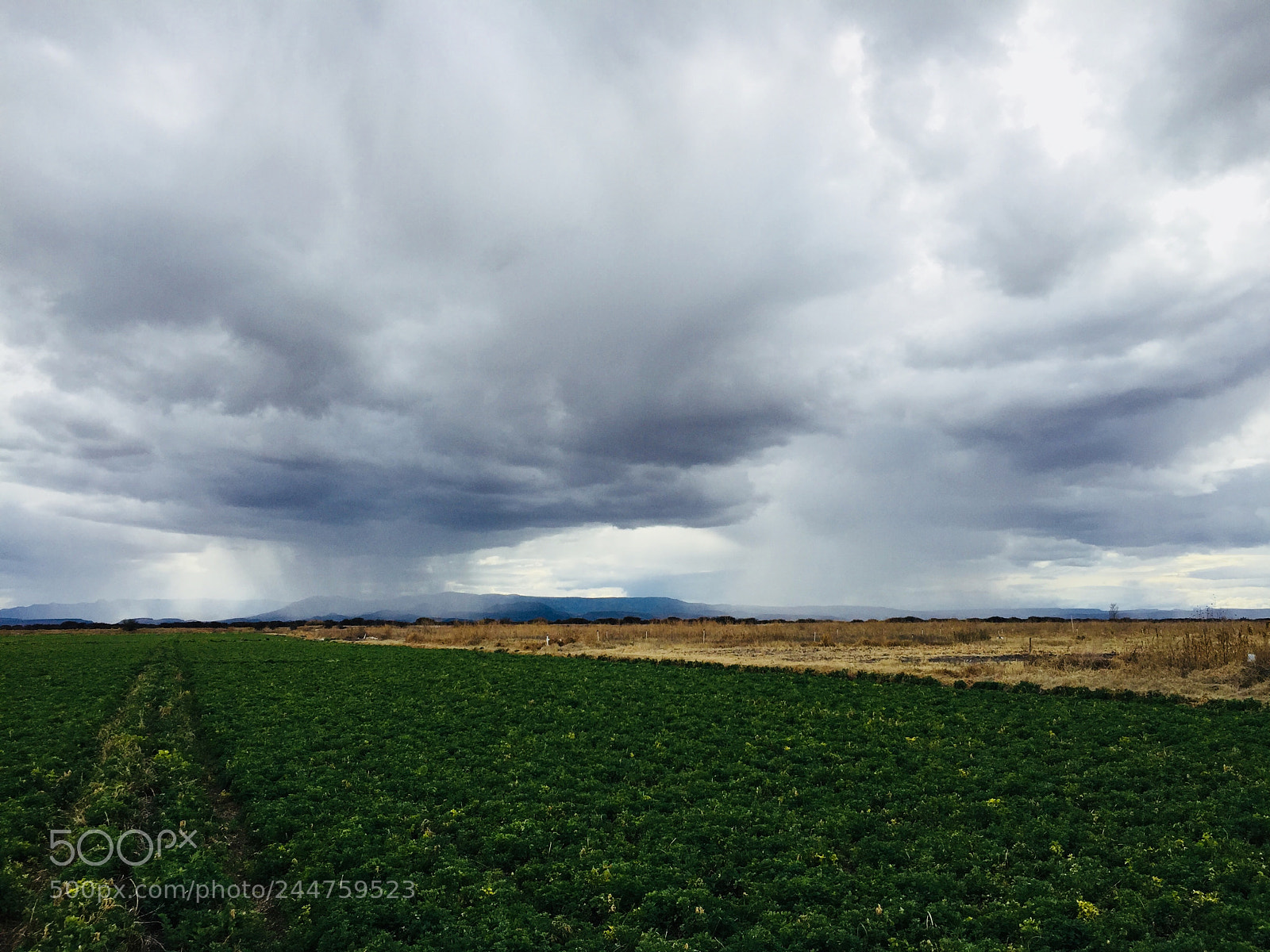 Apple iPhone 6 sample photo. February rains durango mx. photography