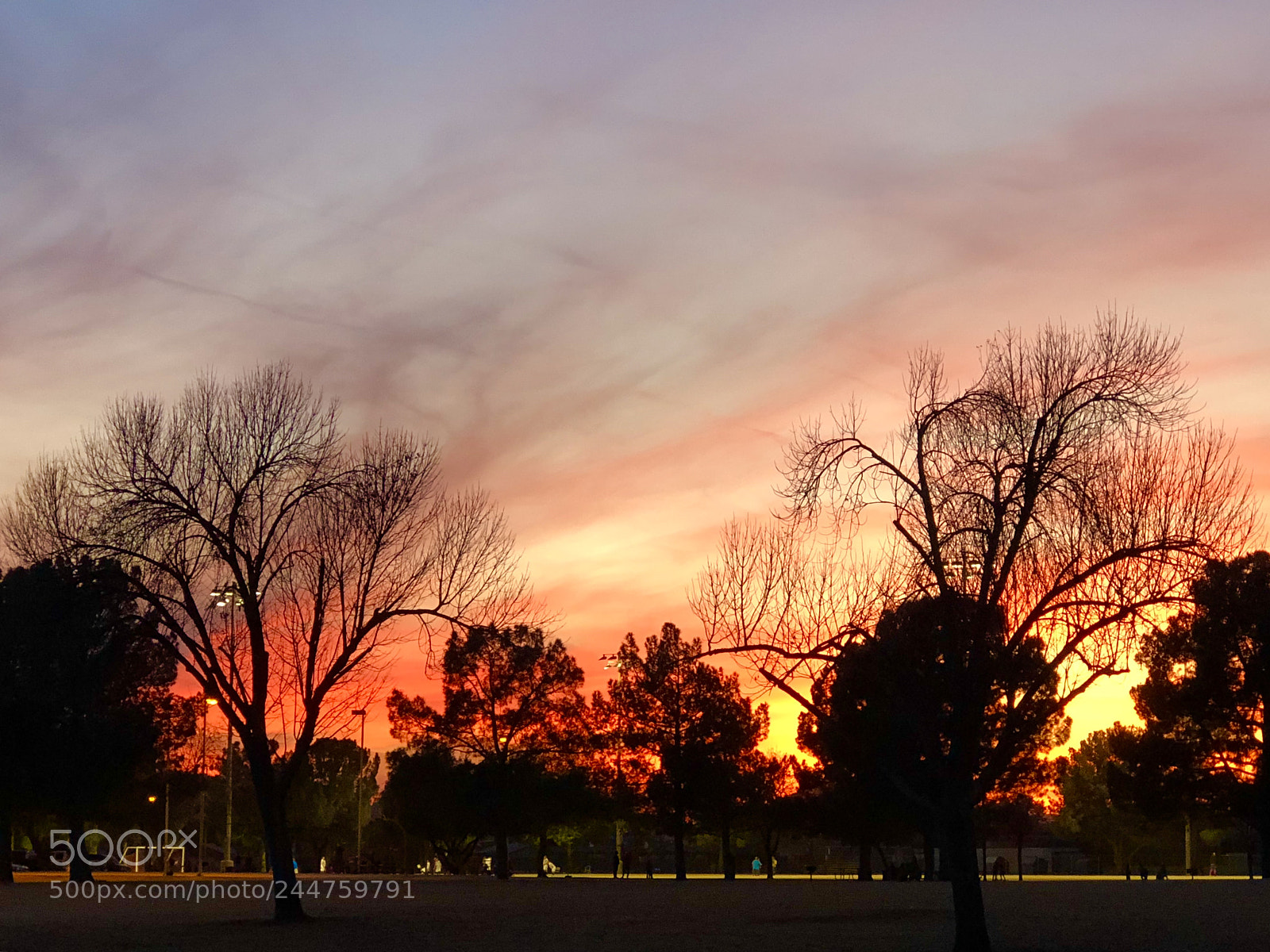 Apple iPhone 8 Plus sample photo. Fiery sky photography