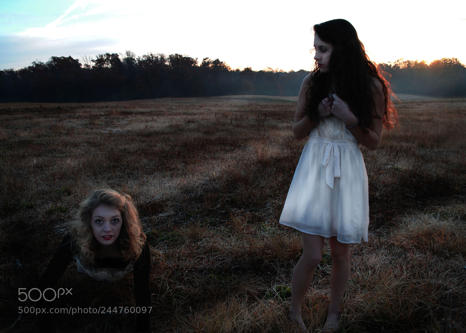 Nikon D3000 sample photo. A living nightmare pt. 2 photography
