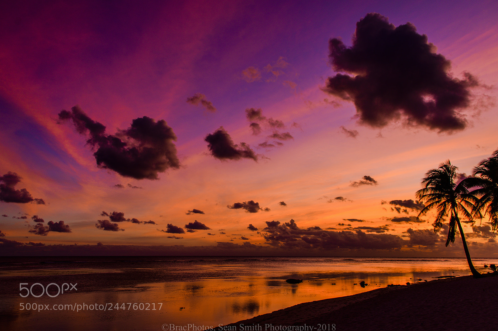 Nikon D850 sample photo. Colors in the sky photography