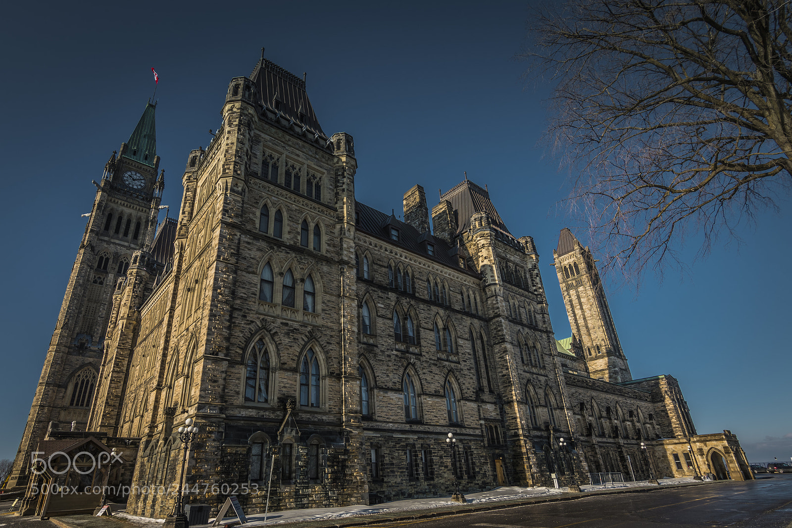 Nikon D500 sample photo. Ttawa, ontario canada photography