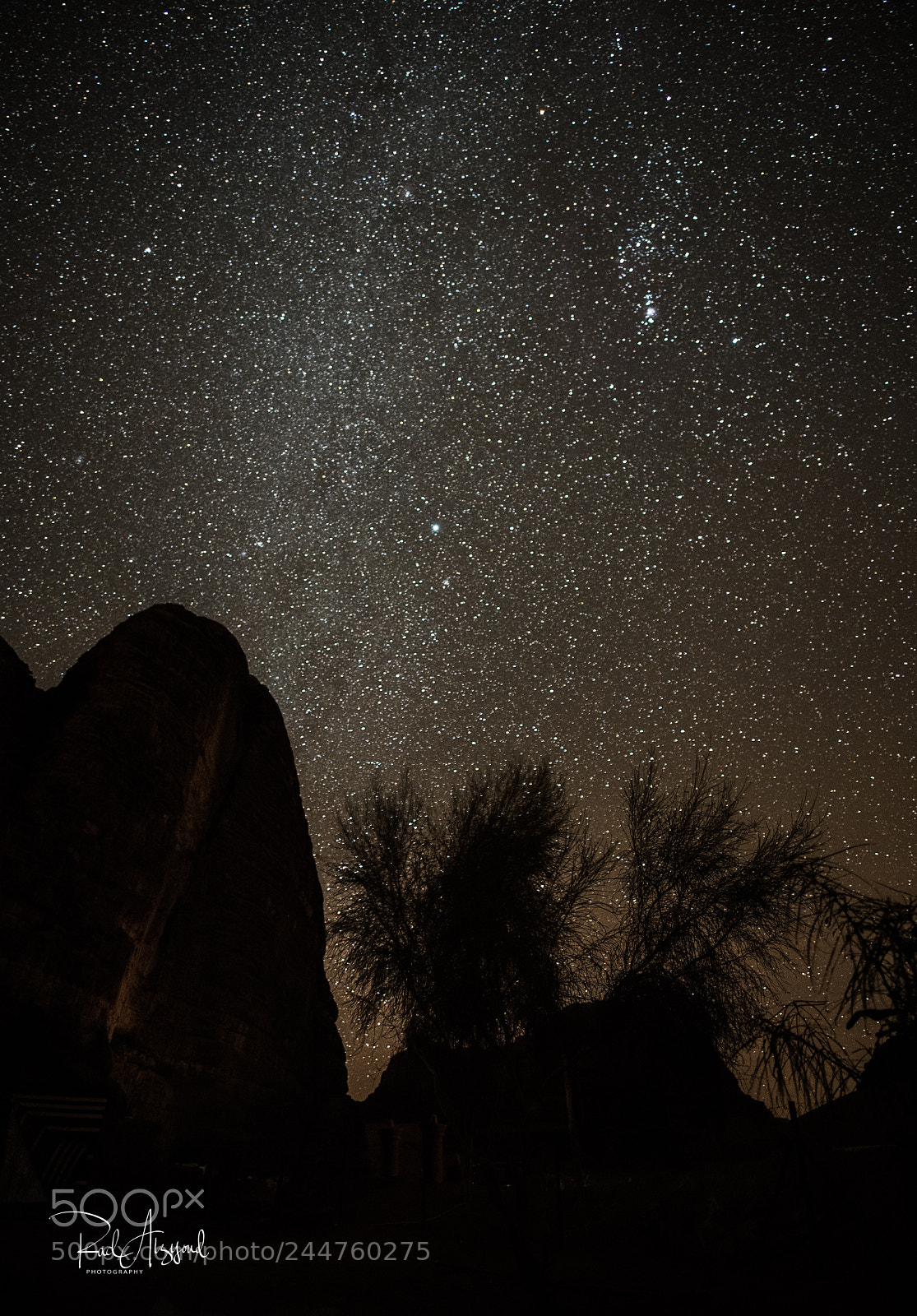 Nikon D850 sample photo. Wadi rum at night photography
