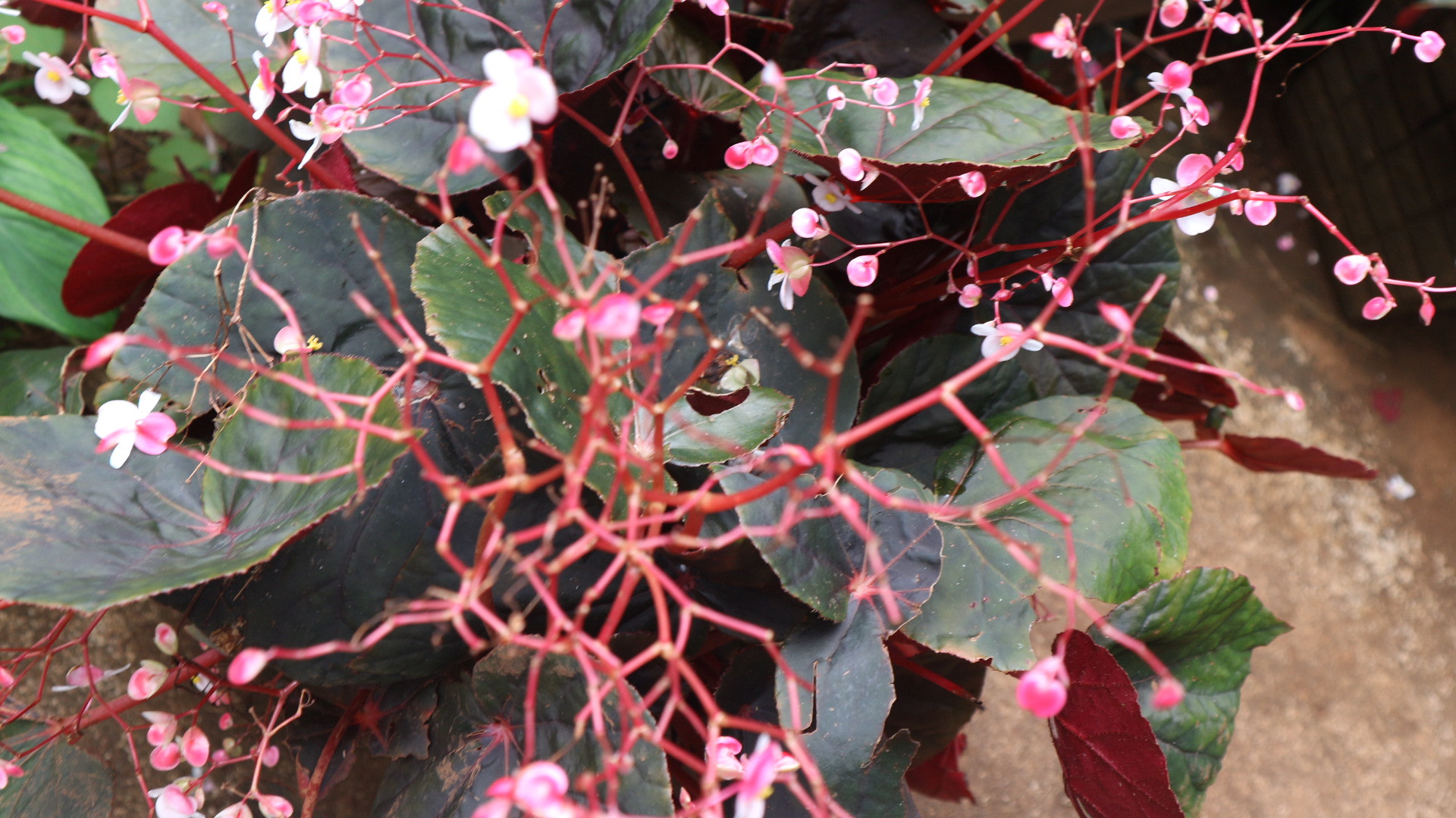 Canon EOS M10 sample photo. The nature within us. photography