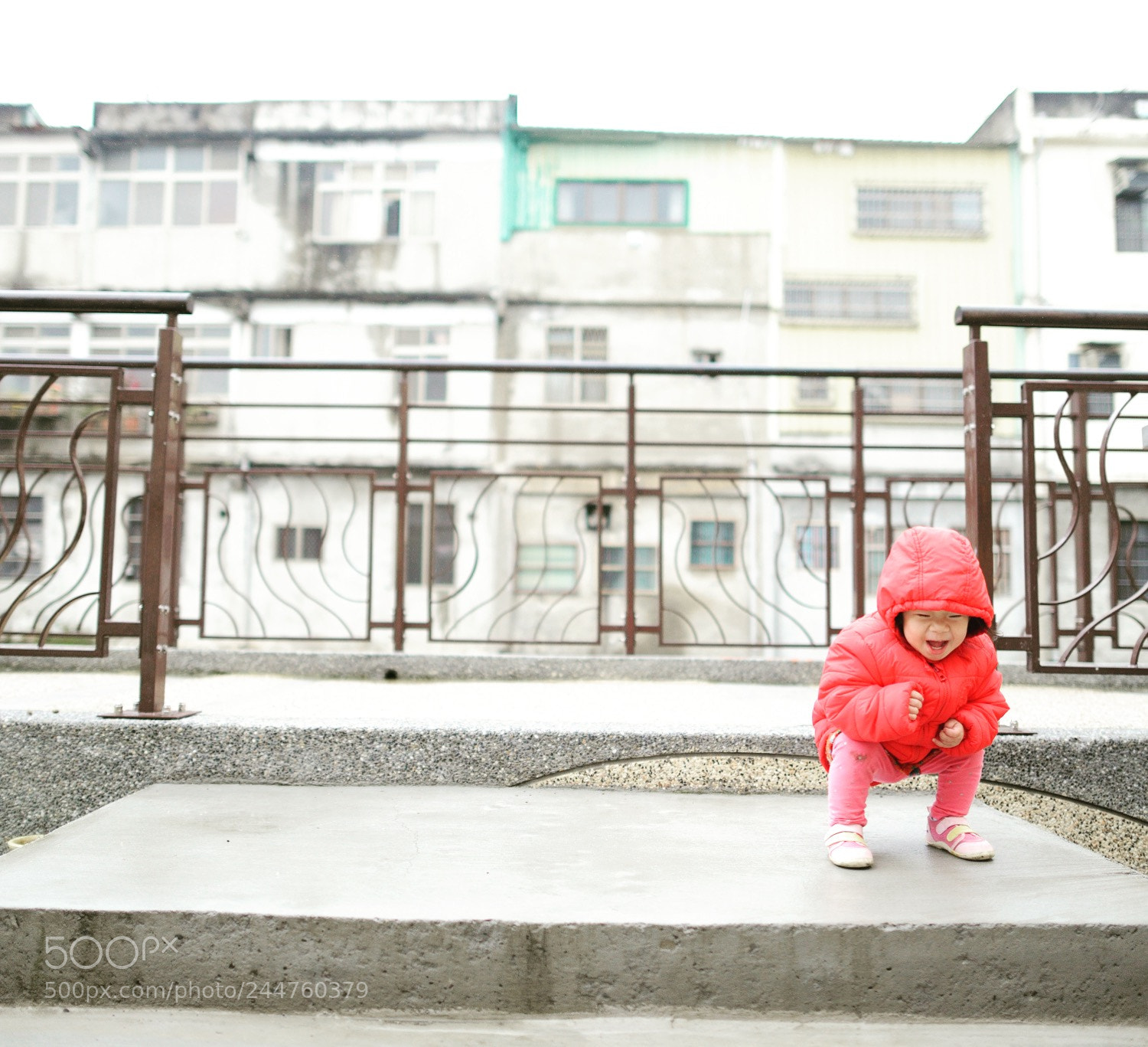Nikon D800 sample photo. Untitled photography