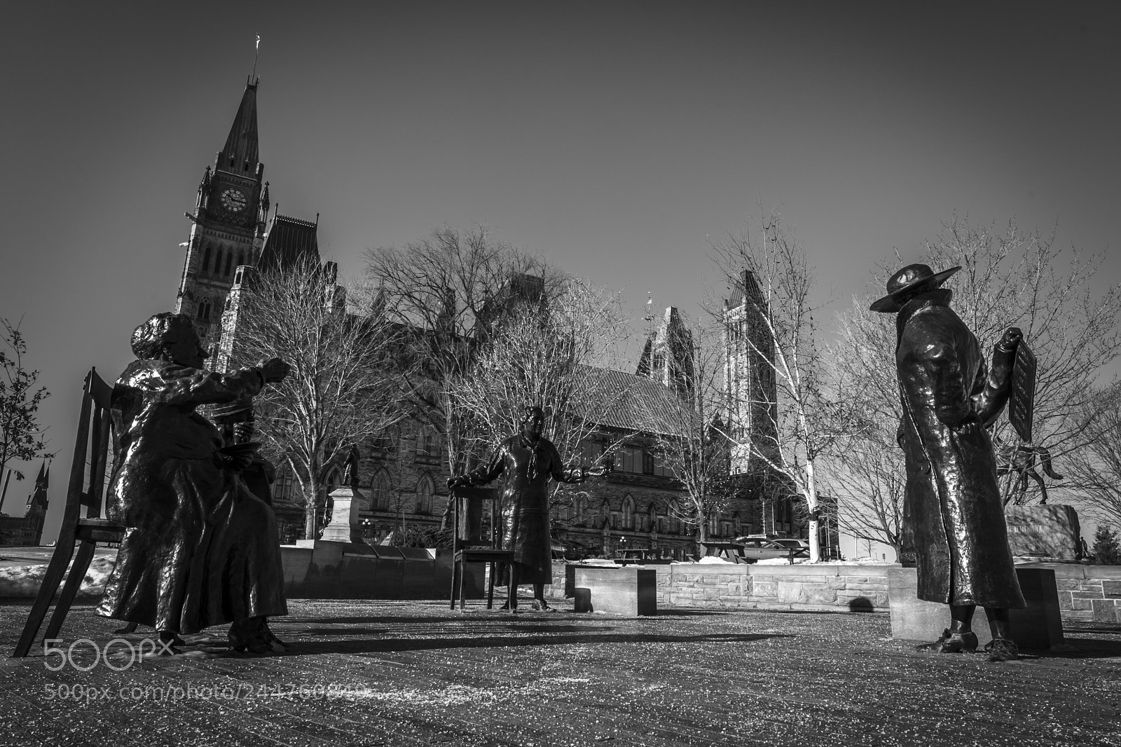 Nikon D500 sample photo. Ttawa, ontario canada photography