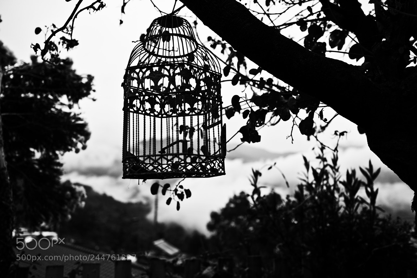 Leica M9 sample photo. Freedom photography